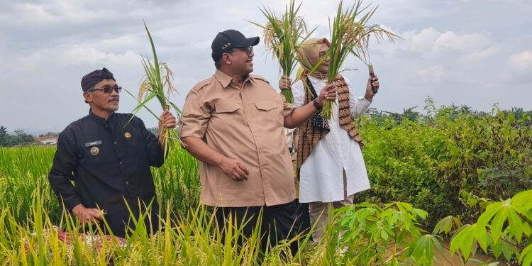 Dorong Regenerasi Petani, DPRD Serahkan Alsintan dan Ajak Milenial Melek Teknologi