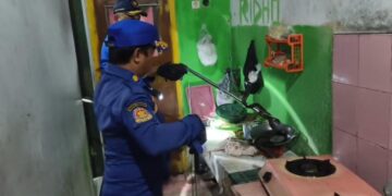 Damkar Evakuasi Ular di Dapur