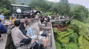Kebun Stroberi