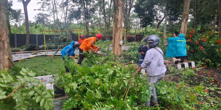 Hujan Disertai Angin Kencang, Sejumlah Pohon Tumbang Tutup Jalan Ir Soekarno Kuningan
