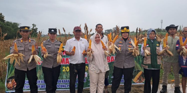 Polsek Lemahabang Panen Raya Jagung 9 Ha Bukti Nyata Dukung Ketahanan Pangan