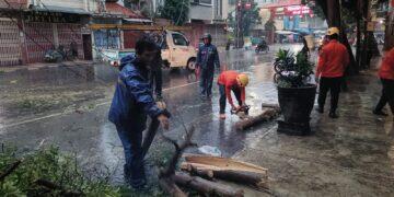 Hujan dan Angin Robohkan Pohon di Karanggetas, Sempat Menutup Akses Jalan