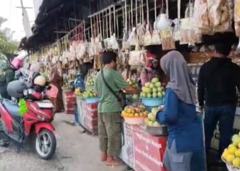 Puncak Arus Balik, Pemudik Serbu Oleh-oleh di Pantura Indramayu