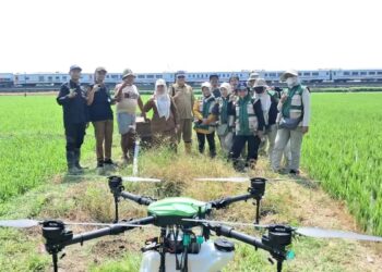 DKPPP Kota Cirebon Uji Drone Pertanian, Penyemprotan Pestisida Lebih Efisien