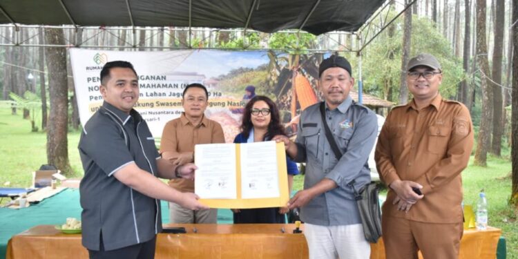 Dorong Kemandirian Pangan, Kuningan Garap 2.500 Hektare Jagung