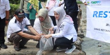 DKPPP Kota Cirebon Restoking Benih Ikan di Sungai, Antisipasi Invasi Ikan Sapu-sapu 