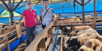 Cegah Wabah Cacing Hati, BUMDes Munjul Berkah Vaksinasi Puluhan Kambing