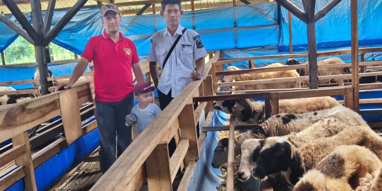 Cegah Wabah Cacing Hati, BUMDes Munjul Berkah Vaksinasi Puluhan Kambing