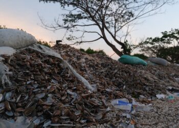 Limbah Cangkang Kerang Menumpuk di Bondet, Warga Keluhkan Bau dan Pencemaran
