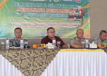 Surplus Beras Capai 120 Ribu Ton, Kuningan Perkuat Peran sebagai Penopang Pangan