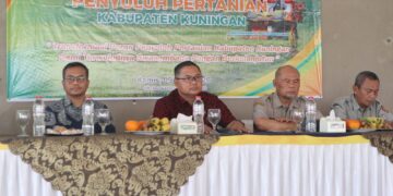 Surplus Beras Capai 120 Ribu Ton, Kuningan Perkuat Peran sebagai Penopang Pangan