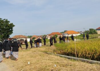 Warga Suranenggala Gelar Tradisi Mapag Sri Jelang Panen Raya
