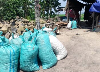 Polemik Kerang Hijau Suranenggala, Kuwu Tegaskan Lahan Milik Warga