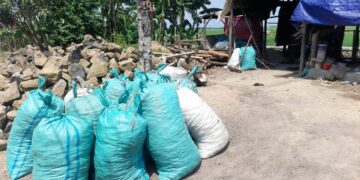 Polemik Kerang Hijau Suranenggala, Kuwu Tegaskan Lahan Milik Warga