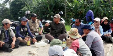 Wereng Disikat, 20 Hektare Sawah di Kuningan Diselamatkan dari Ancaman Puso