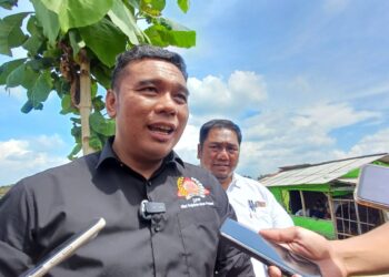 Regenerasi Petani jadi Sorotan, MSP Indonesia Dorong Lahirnya Petani Milenial dan Gen Z