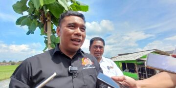 Regenerasi Petani jadi Sorotan, MSP Indonesia Dorong Lahirnya Petani Milenial dan Gen Z