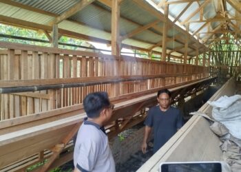 Kandang Domba Kosong, Program BUMDes Beringin Disorot Warga