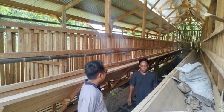 Kandang Domba Kosong, Program BUMDes Beringin Disorot Warga