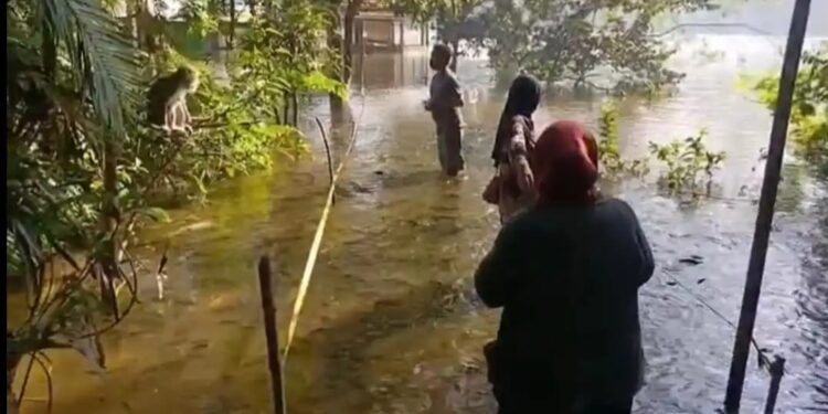 Fenomena Langka Kembali Terjadi, Air Situ Sangiang Meluber