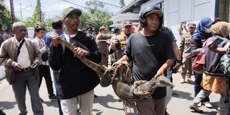 Kepung Pendopo, Ribuan Petani Tambak Indramayu Bawa Biawak Simbol Tolak PSN