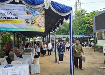 Gemar Makan Ikan Digencarkan, Pemkab Cirebon Pacu Penurunan Stunting