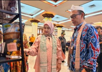 Kapasitas Pelaku Usaha Ultra Mikro Harus Terus Ditingkatkan 