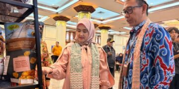 Kapasitas Pelaku Usaha Ultra Mikro Harus Terus Ditingkatkan 