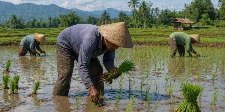 Kemarau Lebih Cepat, Distan Cirebon Siaga Cegah Sawah Kekeringan