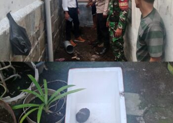 Temuan Benda Diduga Granat, Polisi Gerak Cepat Amankan dan Koordinasi Jibom