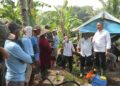 Serangan Hama Capai 18 Persen, Diskatan Fokus Selamatkan Produksi Padi