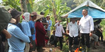Serangan Hama Capai 18 Persen, Diskatan Fokus Selamatkan Produksi Padi