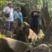 15 Situs Megalitikum di Gunung Ageung, Lemahsugih, Didorong Jadi Cagar Budaya