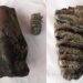 Penemuan Fosil Stegodon di Kawasan Sungai Cilutung Buka Tabir Sejarah Purba Majalengka 