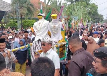 Ribuan Warga Saksikan Tradisi Kawin Tebu PG Sindanglaut