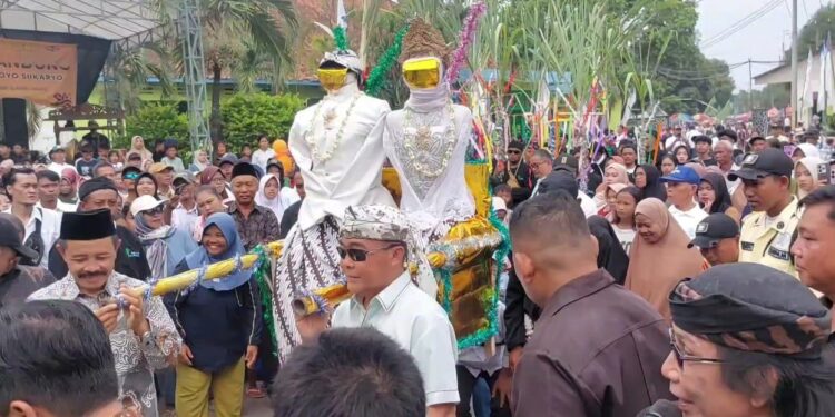 Ribuan Warga Saksikan Tradisi Kawin Tebu PG Sindanglaut