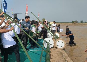 Modernisasi Tanam Padi di Indramayu Ditargetkan 10 Ton per hektar