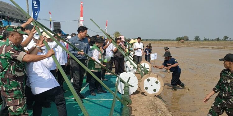 Modernisasi Tanam Padi di Indramayu Ditargetkan 10 Ton per hektar