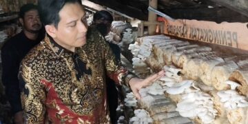 Lucky Hakim Apresiasi Lumbung Pangan Gratis dan Budidaya Jamur di Desa Malang Semirang 
