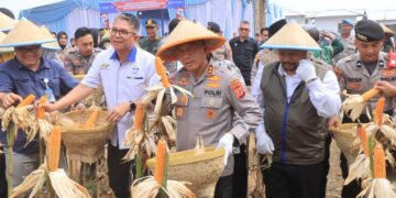 Jaga Ketahanan Pangan, Kapolda Jabar Pimpin Panen Raya Jagung di Indramayu