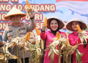 Kapolres Cirebon Kota Panen Raya Jagung di Waled
