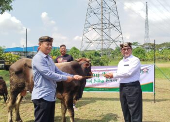Cirebon Power Salurkan 6 Sapi dan 52 Kambing Kurban