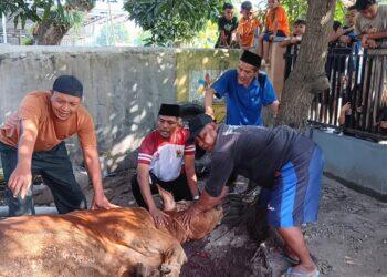 Pemdes Sumber Kidul Bagikan Kurban untuk Warga