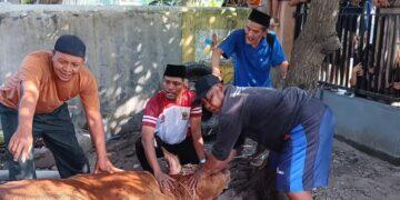 Pemdes Sumber Kidul Bagikan Kurban untuk Warga