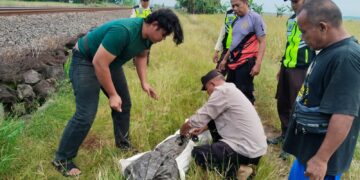 Warga Cirebon Tewas Tertabrak KA Manahan