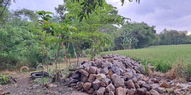 Jembatan Gantung Cempaka Direvitalisasi 2026