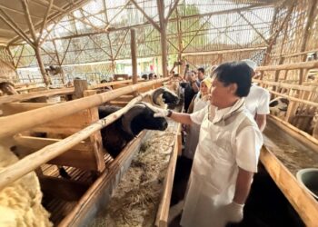 Wali Kota Cirebon Tinjau Kelayakan Hewan di Lima Titik