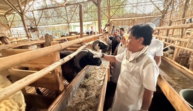 Wali Kota Cirebon Tinjau Kelayakan Hewan di Lima Titik