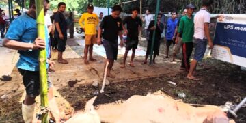 Panitia Kurban RW 05 Penyuken Sembelih 21 Kambing dan 2 Sapi