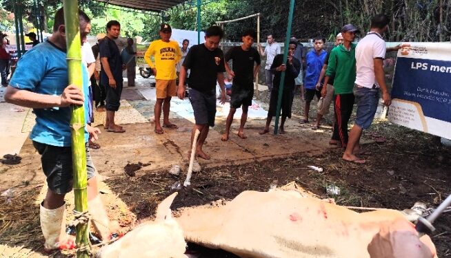 Panitia Kurban RW 05 Penyuken Sembelih 21 Kambing dan 2 Sapi